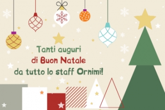 Buone Feste con una bella offerta per te!